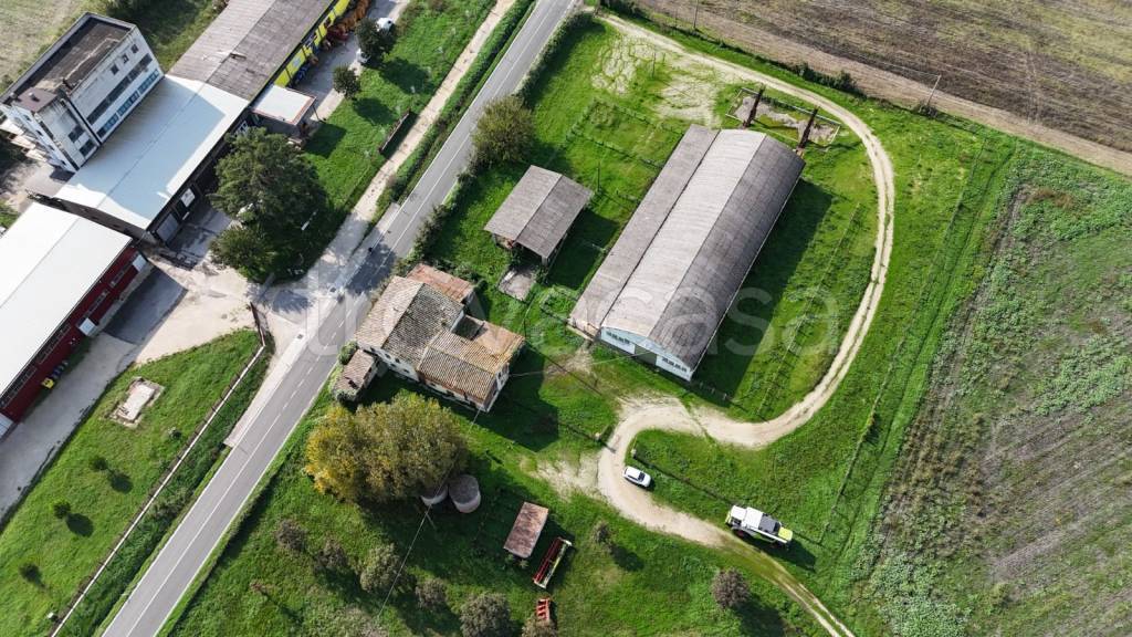 immagine annuncio 3 di 14