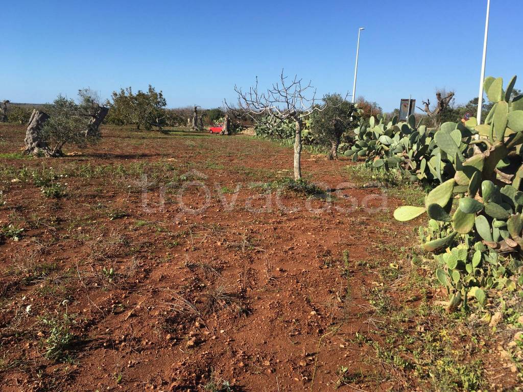 immagine annuncio 1 di 8