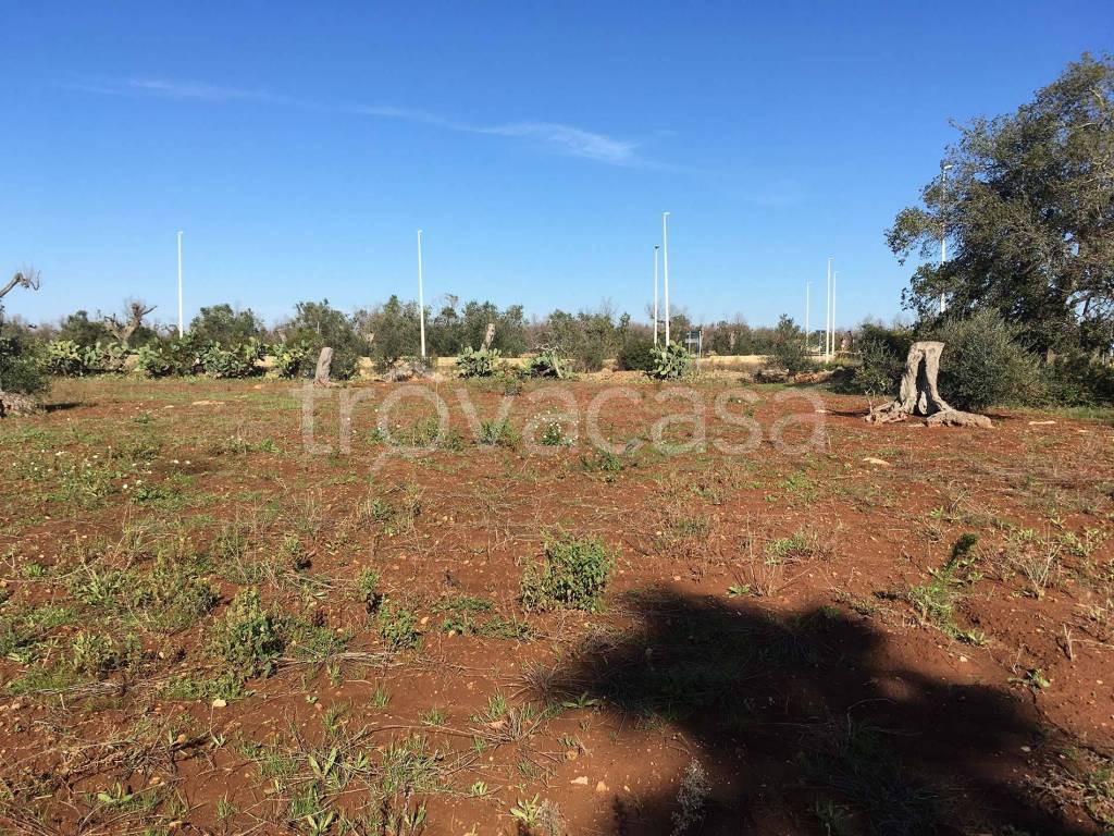 immagine annuncio 3 di 8