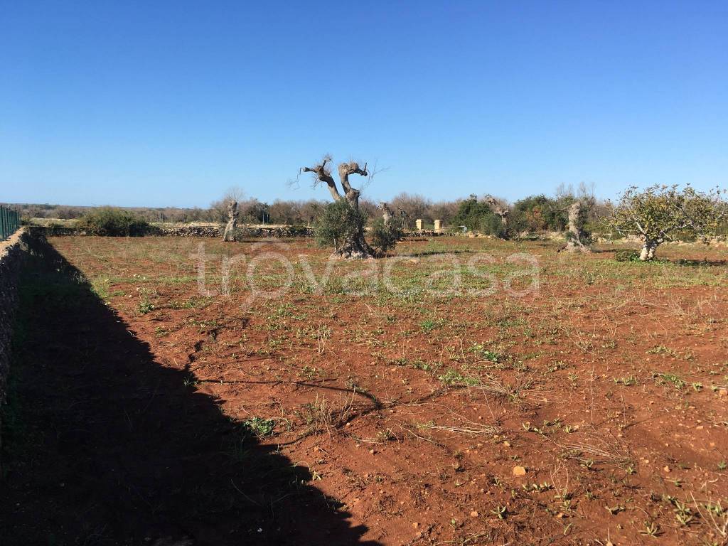 immagine annuncio 4 di 8