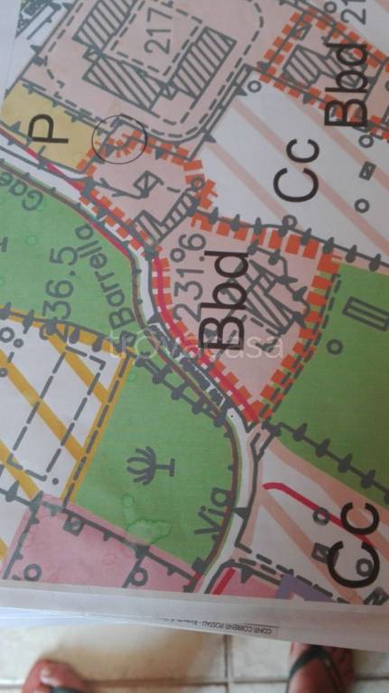 immagine annuncio 2 di 8