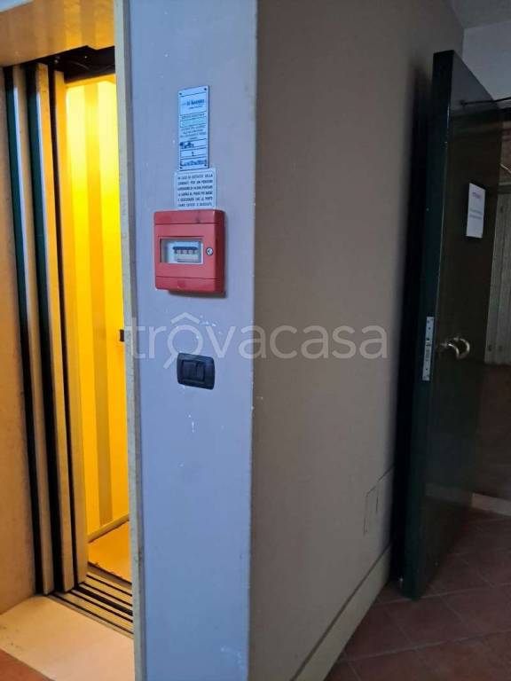 immagine annuncio 7 di 14