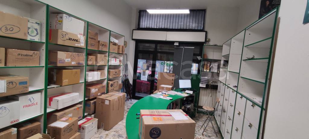 immagine annuncio 6 di 14
