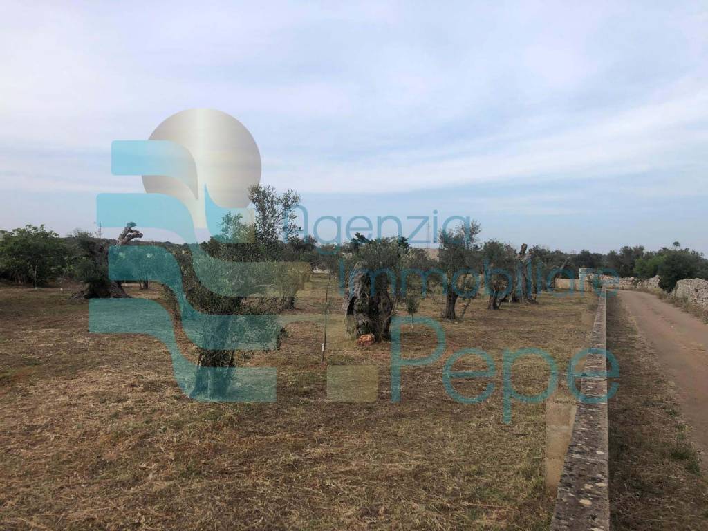 immagine annuncio 3 di 13