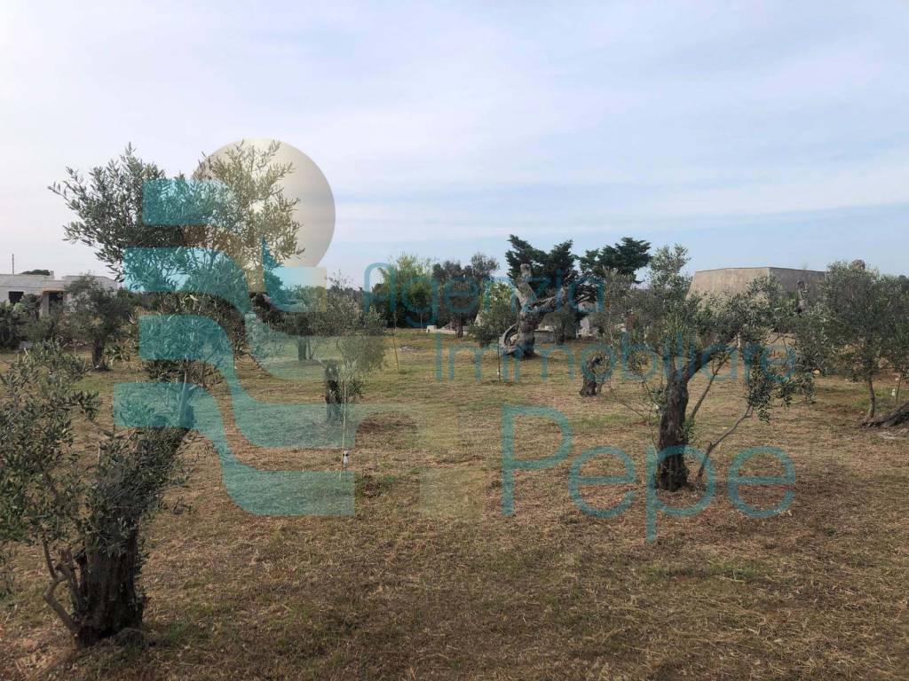 immagine annuncio 4 di 13