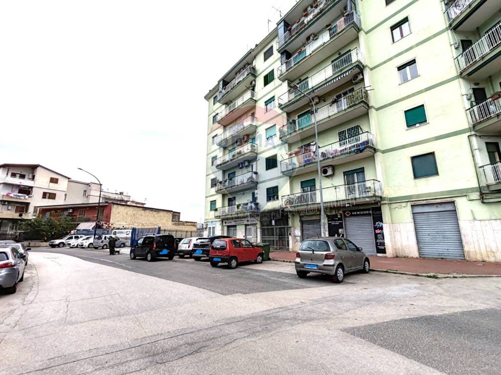 immagine annuncio 7 di 15