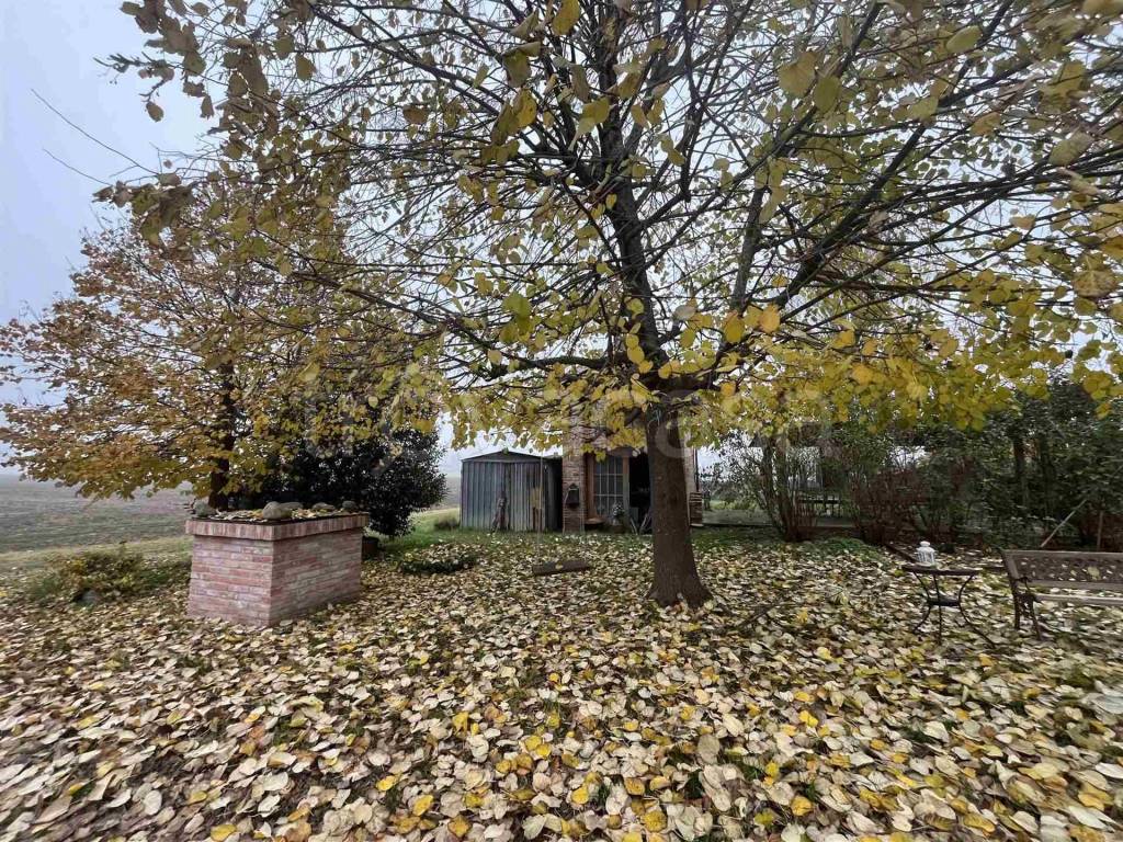 immagine annuncio 5 di 12