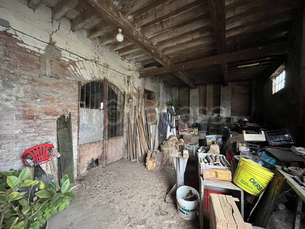 immagine annuncio 8 di 12