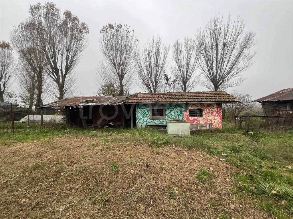 immagine annuncio 10 di 12