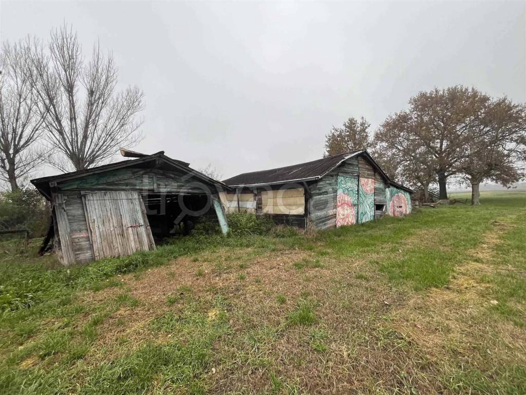 immagine annuncio 11 di 12