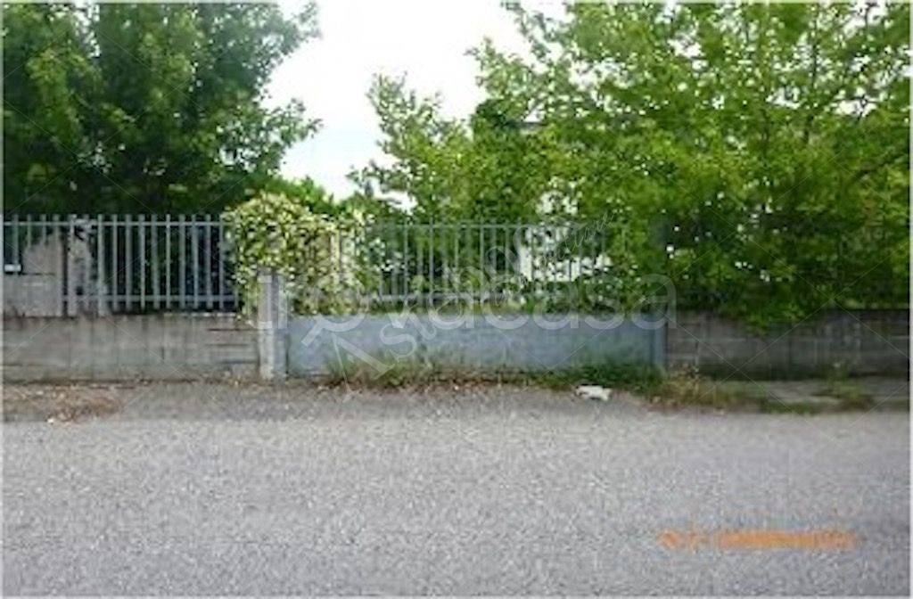 immagine annuncio 1 di 12