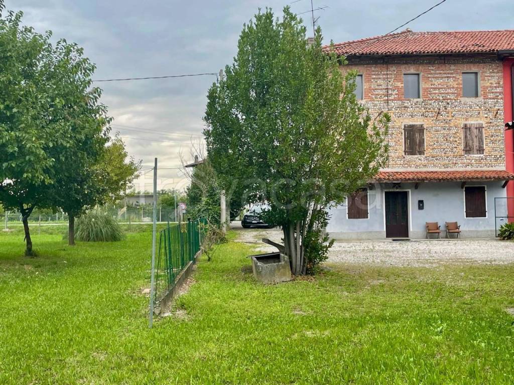 immagine annuncio 2 di 12