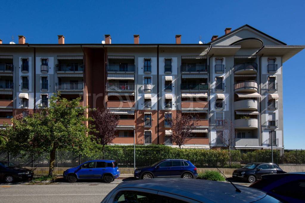 immagine annuncio 3 di 15