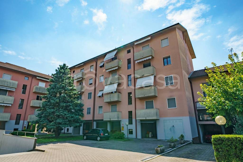 immagine annuncio 3 di 15