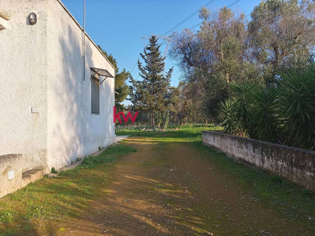 immagine annuncio 11 di 13