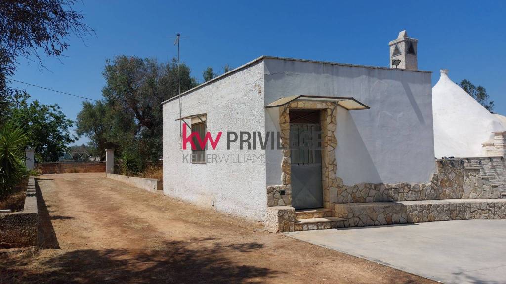 immagine annuncio 12 di 13