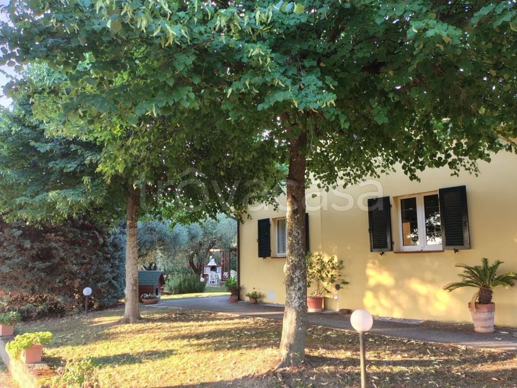 immagine annuncio 1 di 7