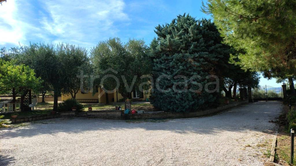 immagine annuncio 4 di 7