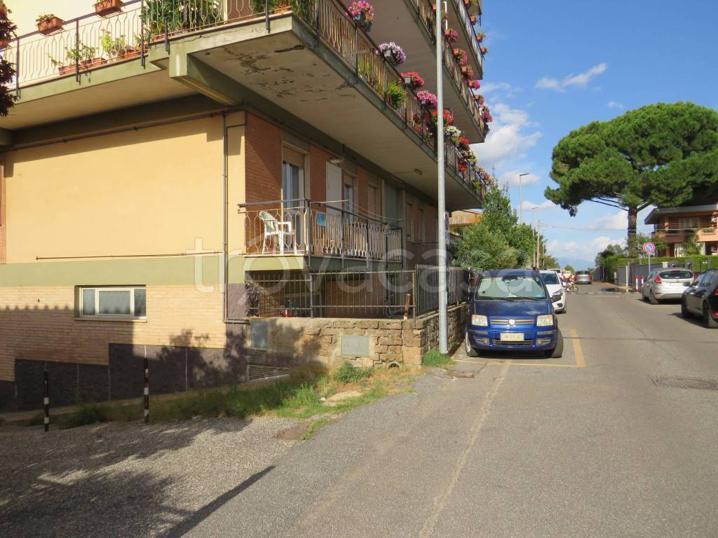 immagine annuncio 12 di 14
