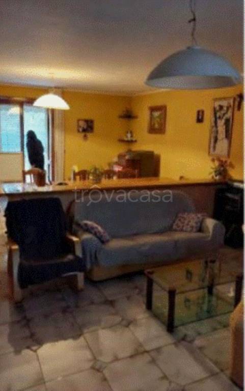 immagine annuncio 2 di 12