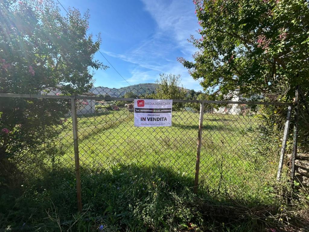 immagine annuncio 3 di 7