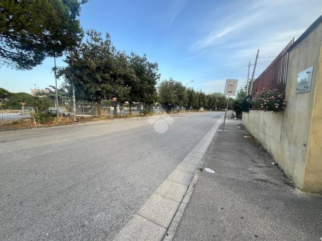 immagine annuncio 9 di 13