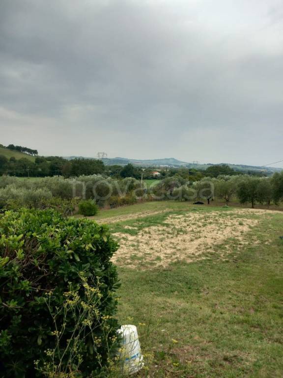 immagine annuncio 6 di 9