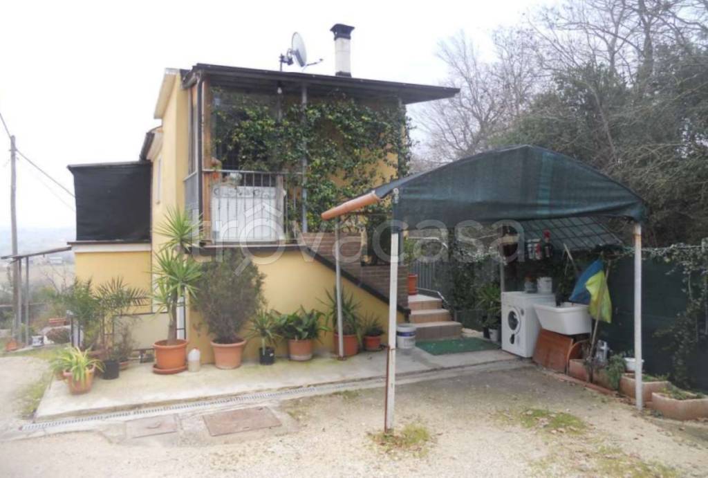 immagine annuncio 2 di 11