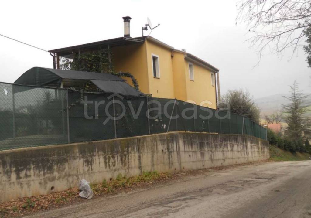 immagine annuncio 5 di 11