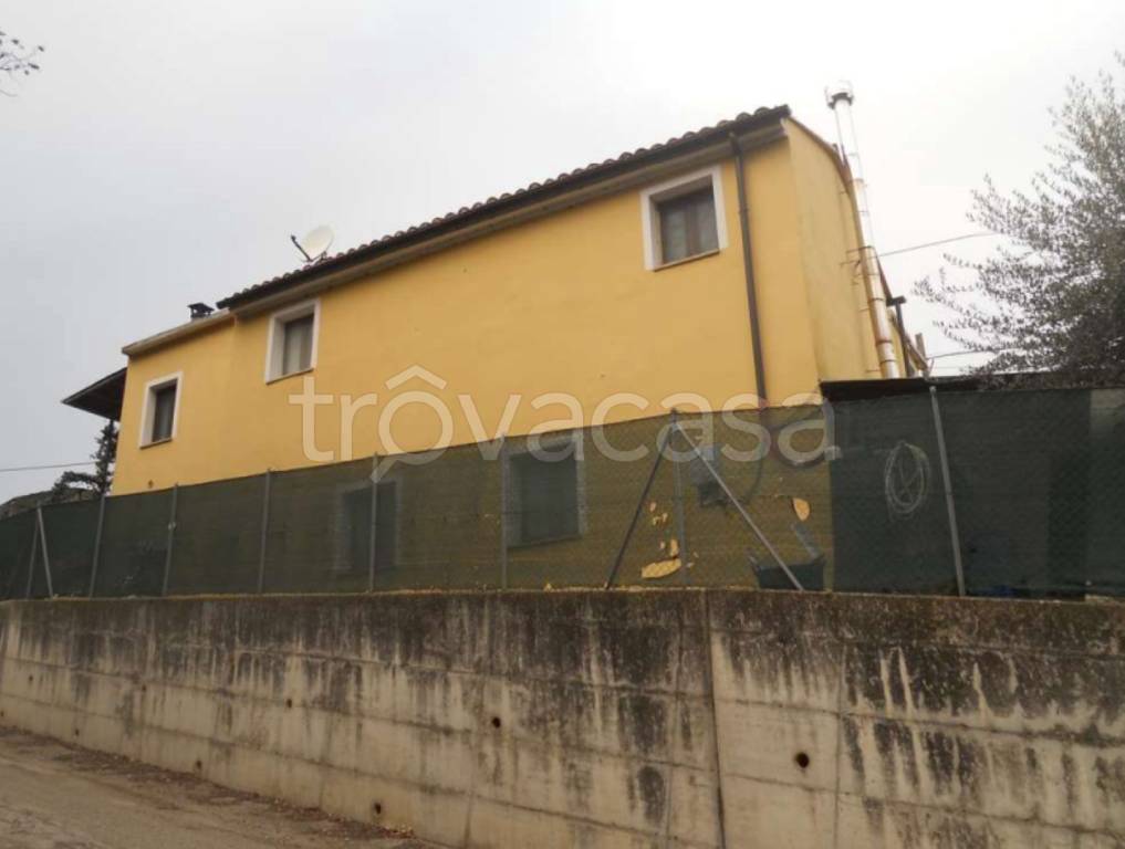 immagine annuncio 6 di 11
