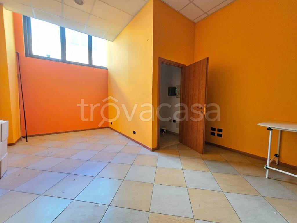 immagine annuncio 3 di 8