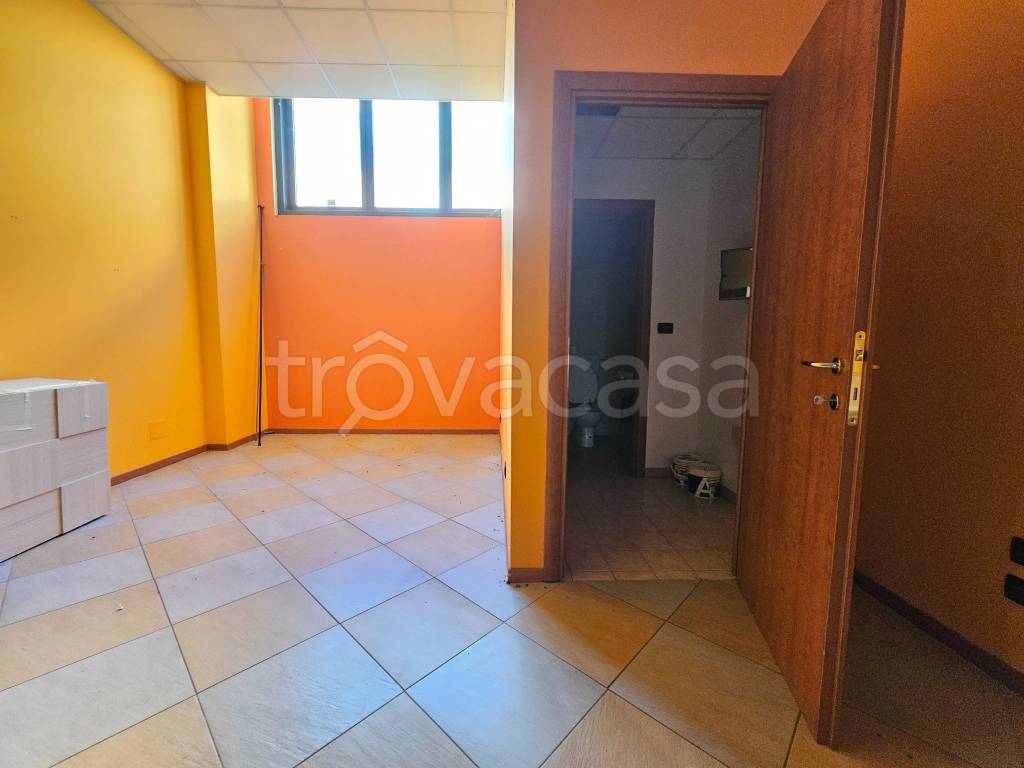 immagine annuncio 4 di 8