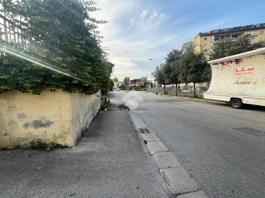 immagine annuncio 9 di 12