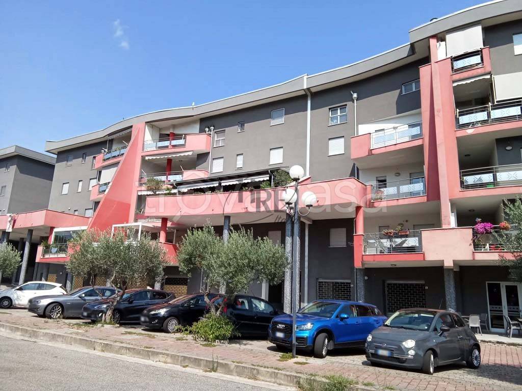 immagine annuncio 2 di 10
