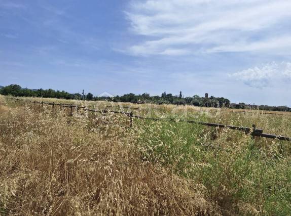 immagine annuncio 4 di 8