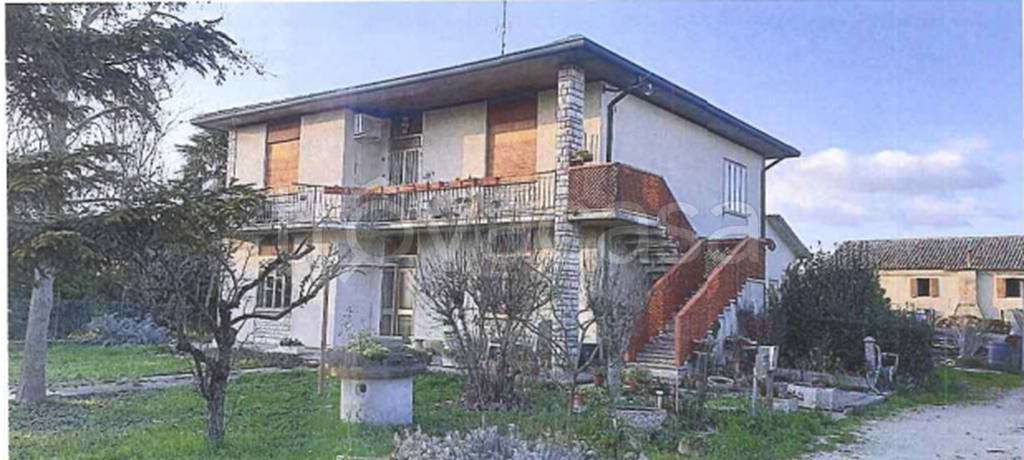 immagine annuncio 5 di 11