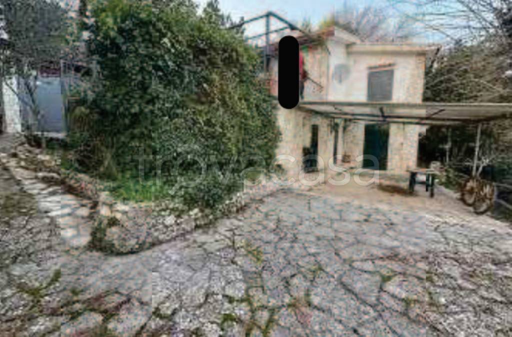 immagine annuncio 5 di 14