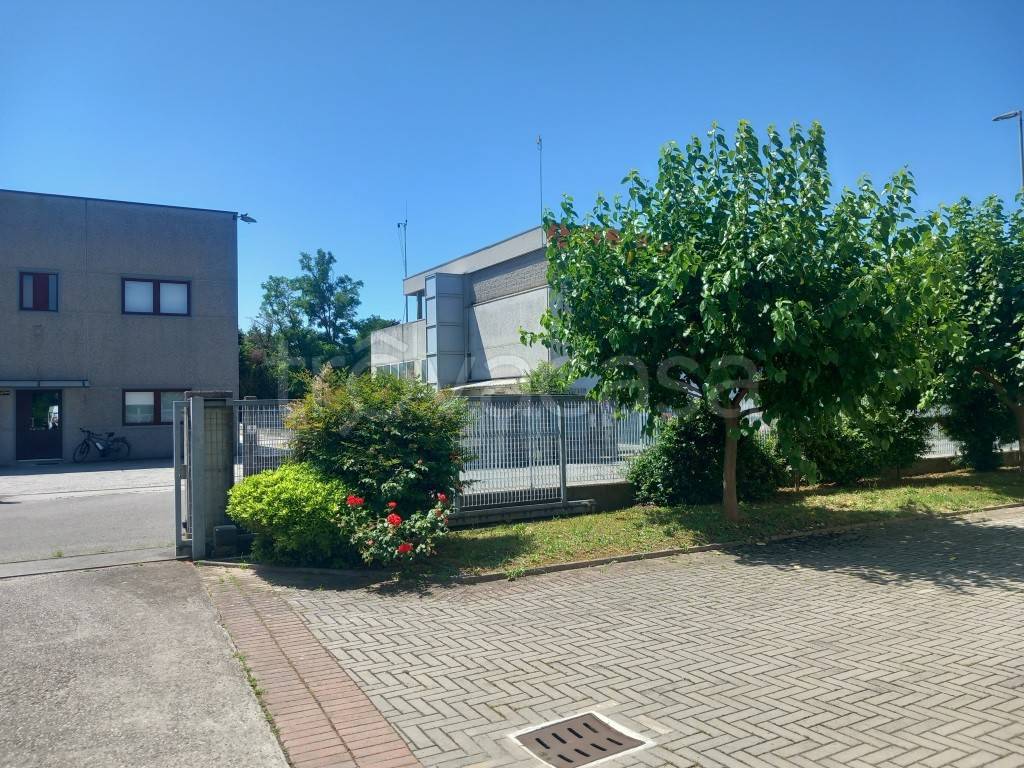 immagine annuncio 3 di 15