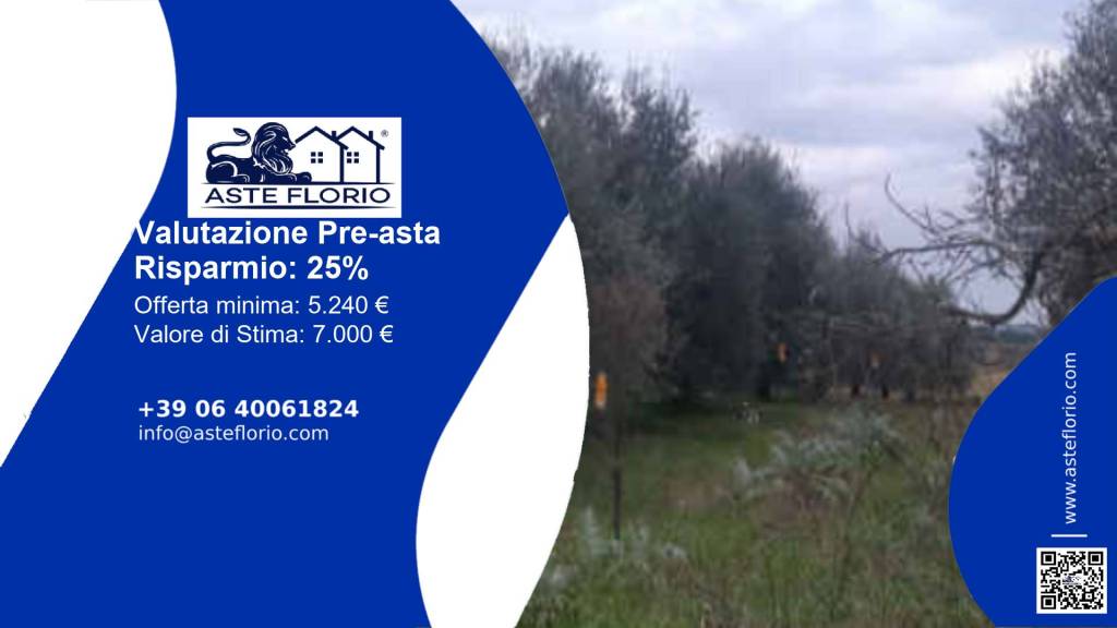 immagine annuncio 1 di 14