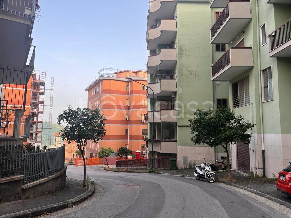immagine annuncio 2 di 6