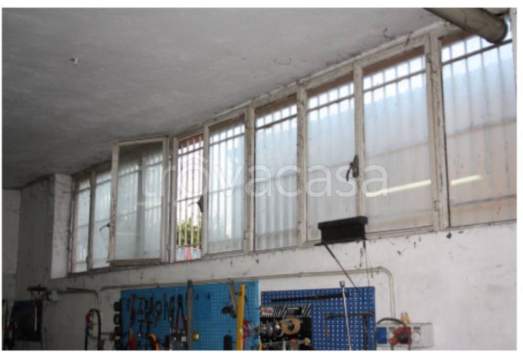 immagine annuncio 3 di 12