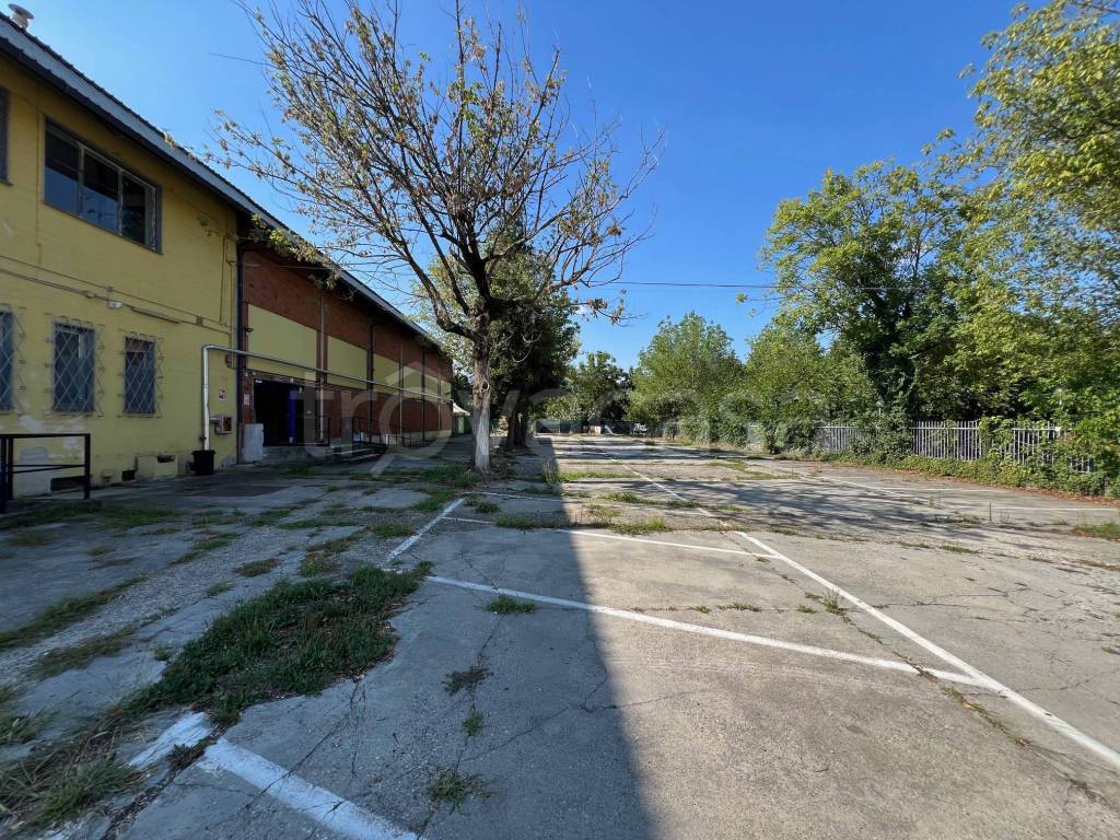 immagine annuncio 11 di 15