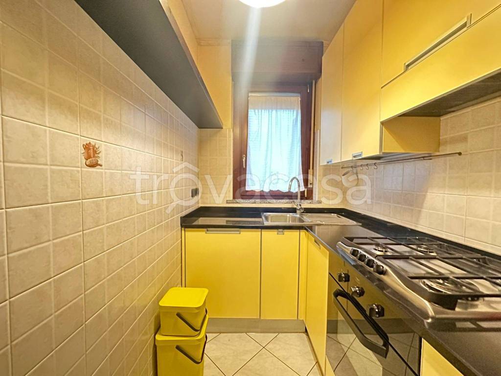 immagine annuncio 5 di 14