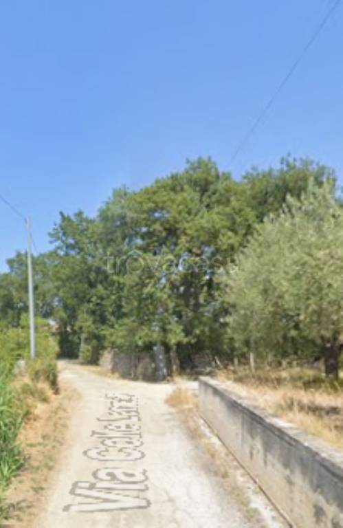 immagine annuncio 4 di 11