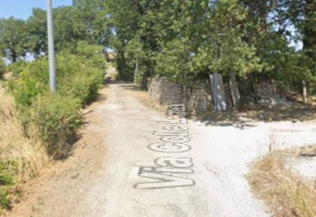 immagine annuncio 5 di 11