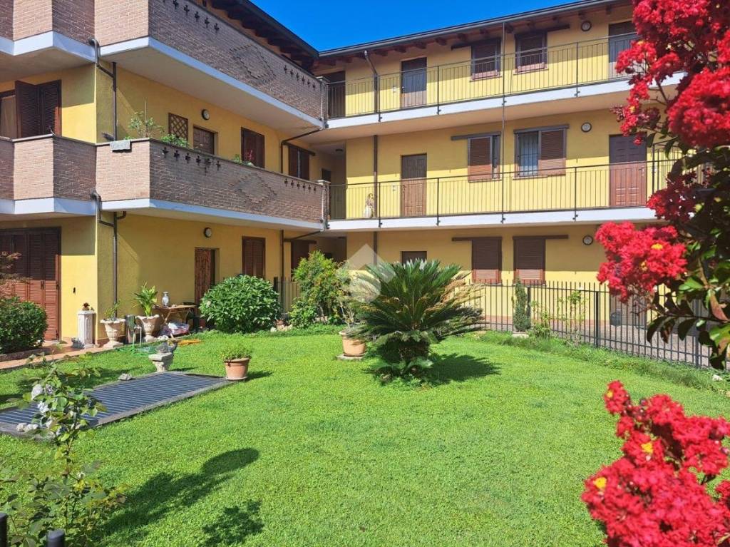 immagine annuncio 2 di 15