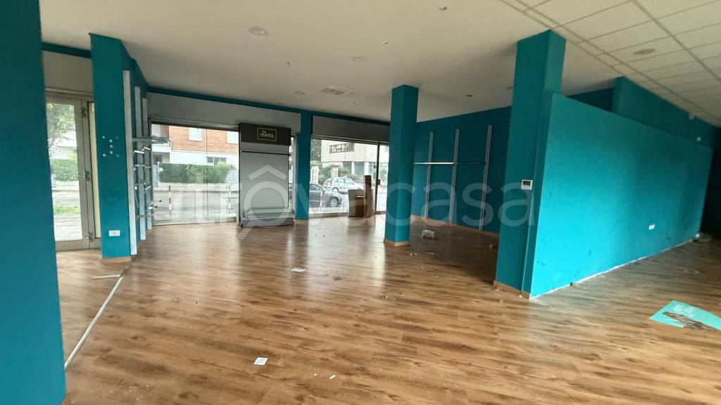 immagine annuncio 3 di 11