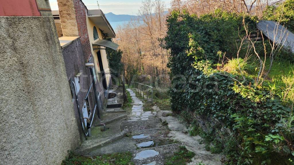 immagine annuncio 4 di 7