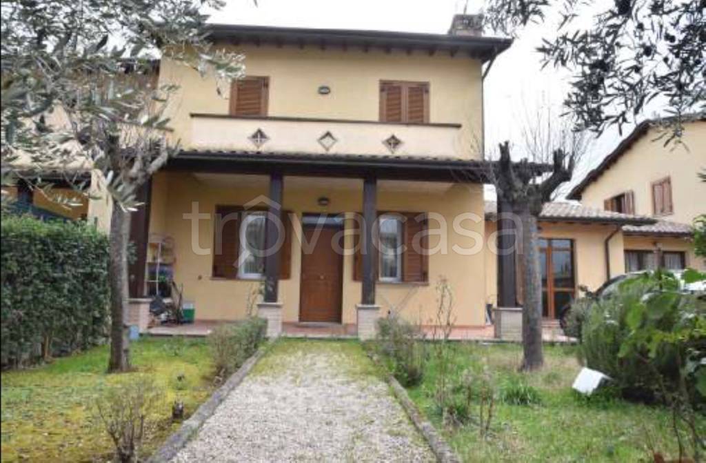 immagine annuncio 3 di 12