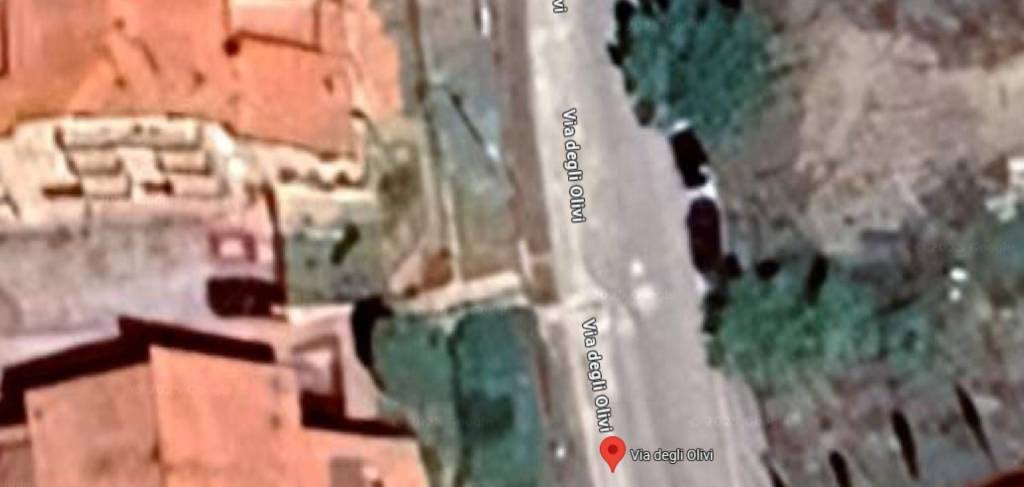 immagine annuncio 3 di 12
